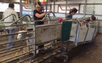 girls at work